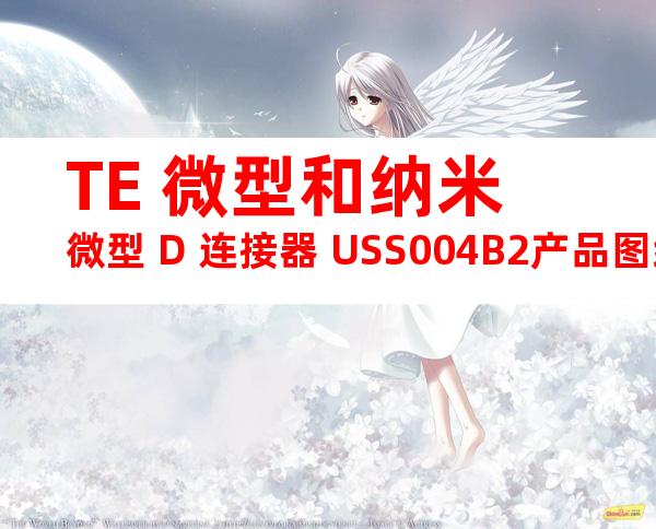 TE 微型和纳米微型 D 连接器 USS004B2产品图纸